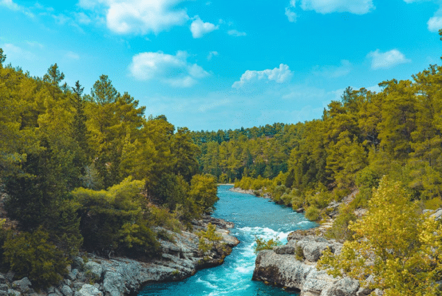 Köprülü Kanyon Rafting